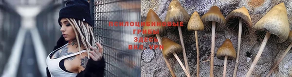 марки nbome Алексеевка