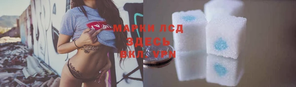 стафф Аркадак